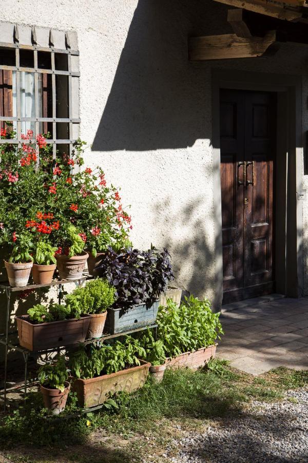 Agriturismo La Topaia Borgo San Lorenzo Kültér fotó