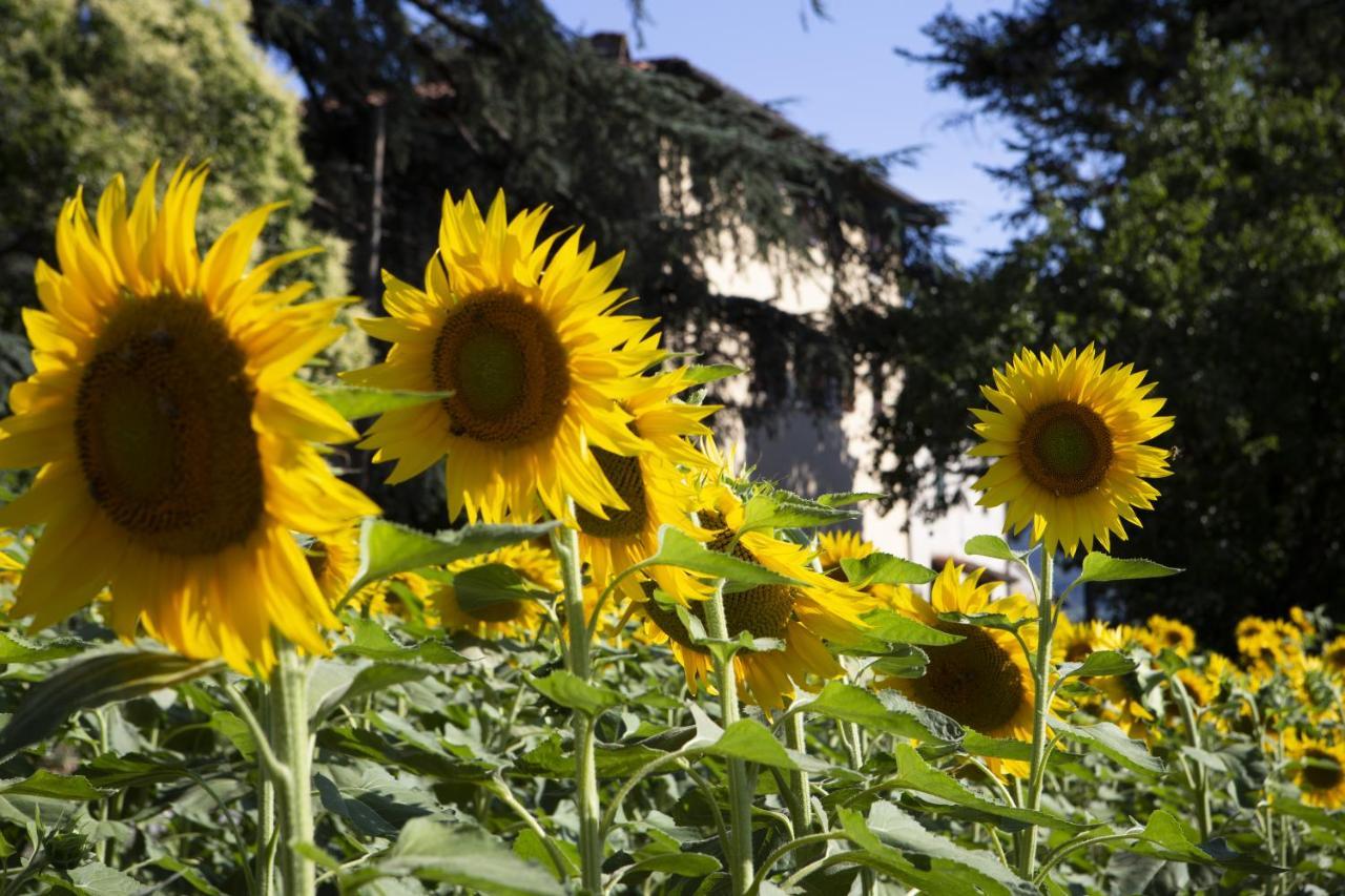 Agriturismo La Topaia Borgo San Lorenzo Kültér fotó