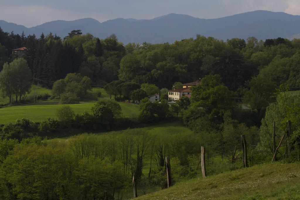 Agriturismo La Topaia Borgo San Lorenzo Kültér fotó