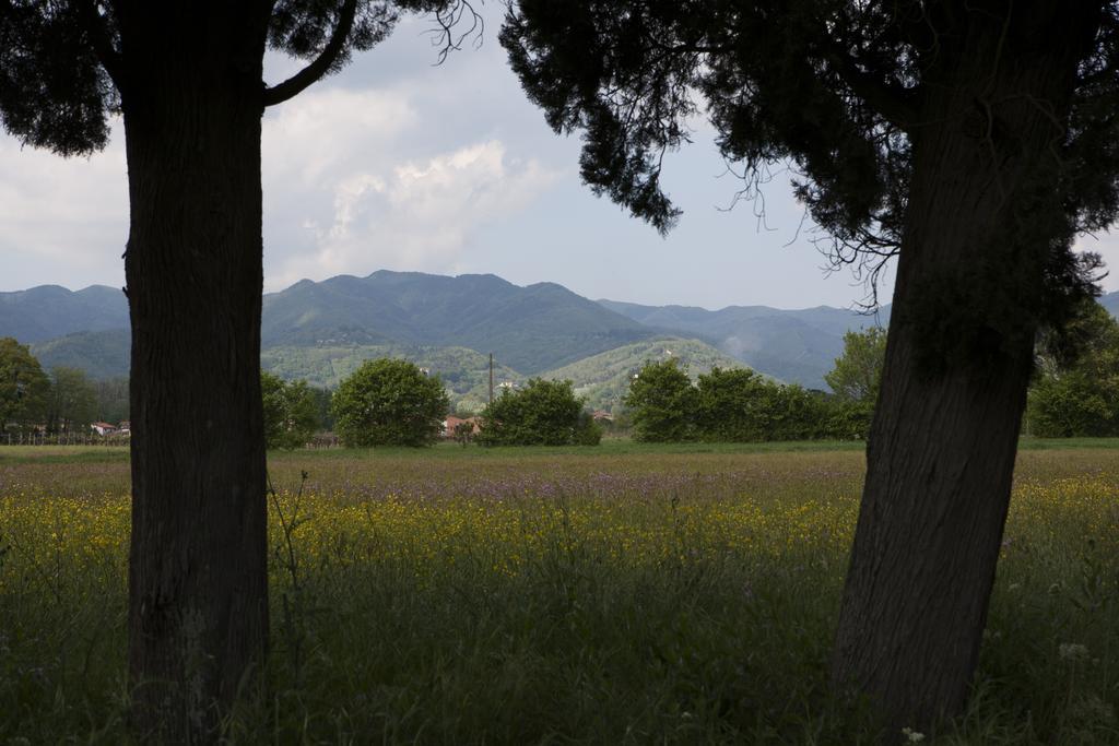 Agriturismo La Topaia Borgo San Lorenzo Kültér fotó