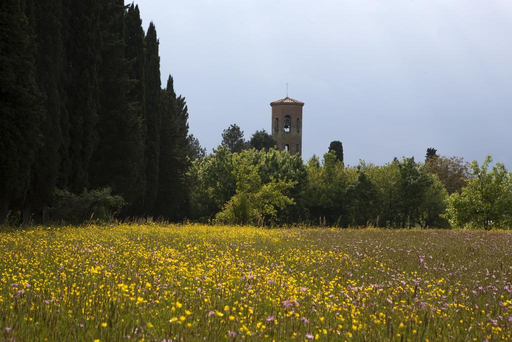 Agriturismo La Topaia Borgo San Lorenzo Kültér fotó