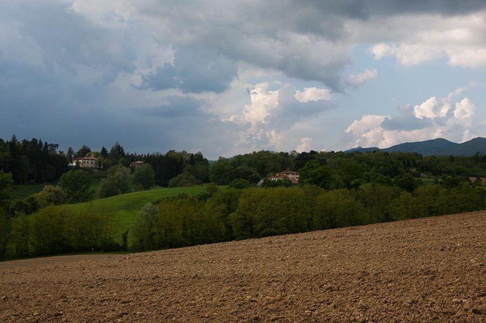 Agriturismo La Topaia Borgo San Lorenzo Kültér fotó