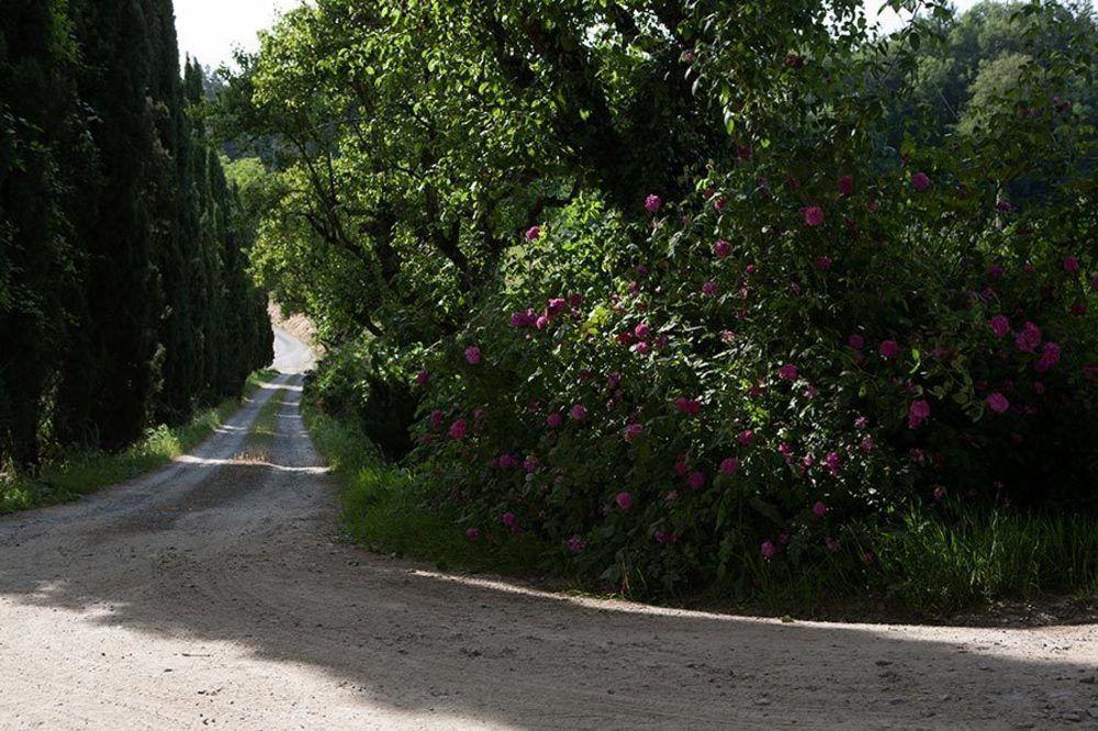 Agriturismo La Topaia Borgo San Lorenzo Kültér fotó