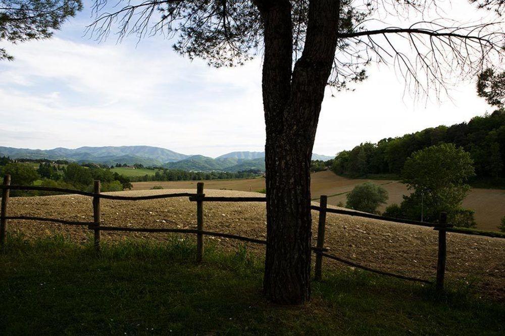 Agriturismo La Topaia Borgo San Lorenzo Kültér fotó