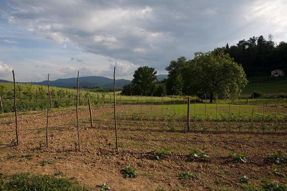 Agriturismo La Topaia Borgo San Lorenzo Kültér fotó