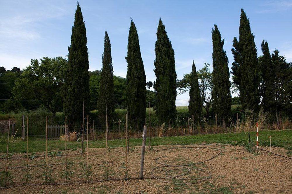 Agriturismo La Topaia Borgo San Lorenzo Kültér fotó